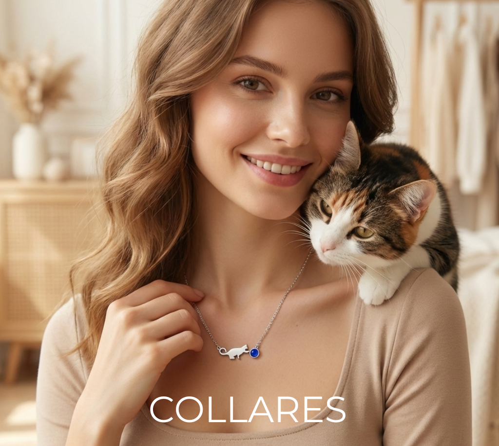 Collares con formas de gato