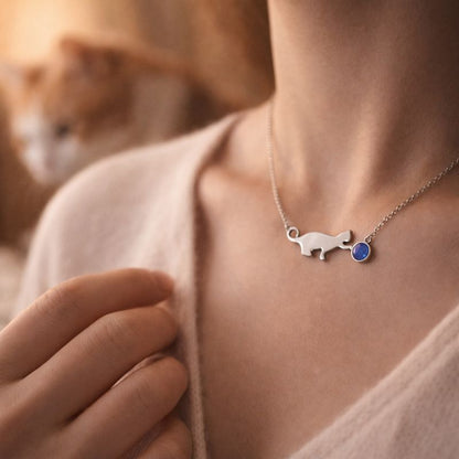 Collar Doraemon + Pulsera Fígaro + Anillo Dama